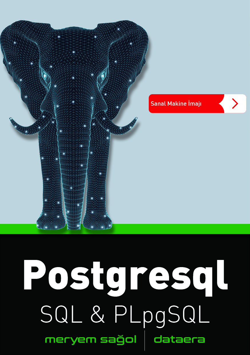 2_1_SQLPLpgSQL_V03_Kapak_1